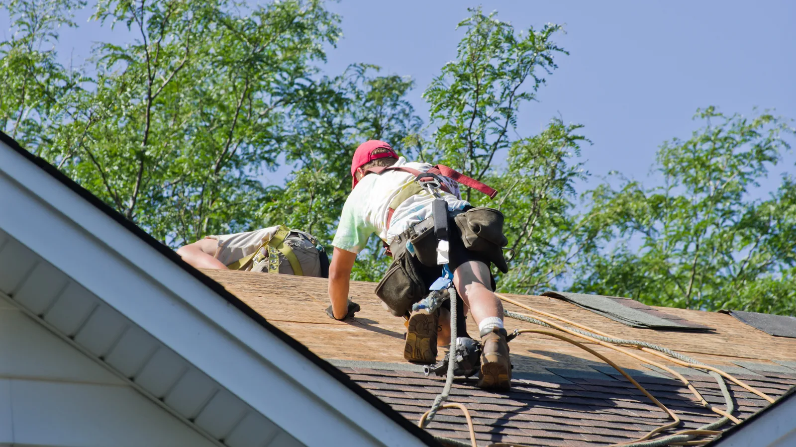 Roofer working on exposed wood roof decking beside remaining shingles